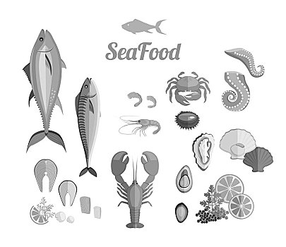海鲜,设计,比目鱼,蟹肉,龙虾,食物,牡蛎,新鲜,虾,菜单,章鱼,动物,贝类,柠檬,矢量,插画