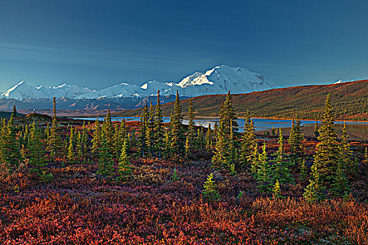 景色,风景,山,麦金利山,旺湖,早晨,德纳里峰国家公园,室内,阿拉斯加,秋天