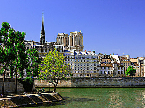 法国,巴黎,赛纳河,圣母大教堂,背景