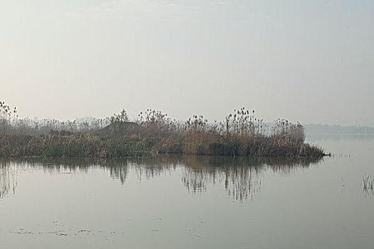 潘安湖湿地公园风光