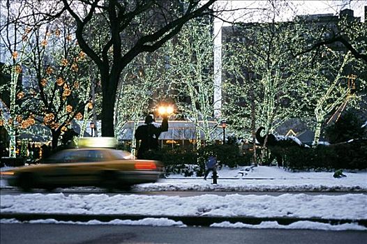 中央公园,夜晚,圣诞节