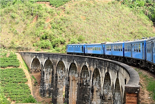 列车,桥,丘陵地区,斯里兰卡