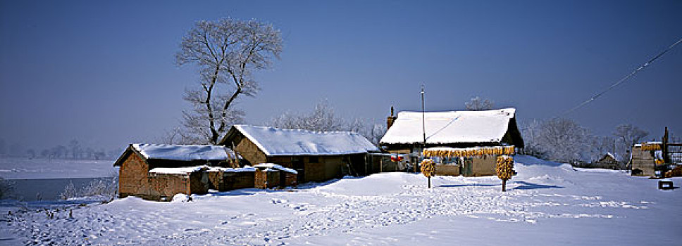 东北农家院雪景