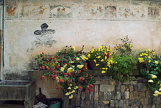 墙上残存的壁画,书法和菊花