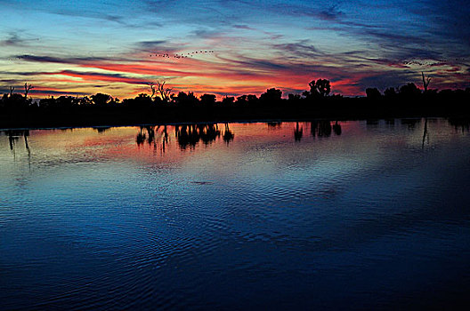 日落,南,鳄鱼,河,卡卡杜国家公园,北领地州,澳大利亚
