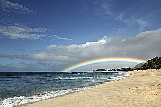 夏威夷,瓦胡岛,北岸,满,活力,彩虹,陆地,海洋