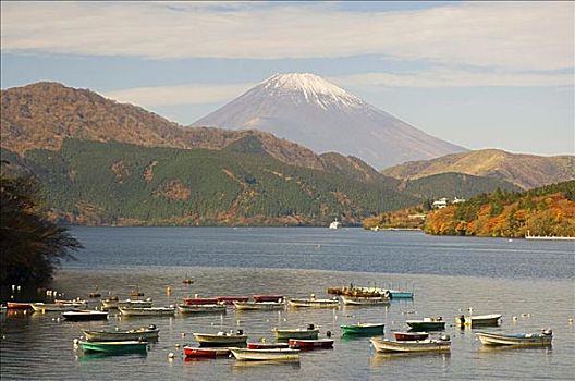 富士山,本州,日本