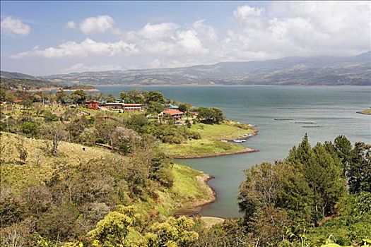 湖,阿雷纳尔,靠近,哥斯达黎加