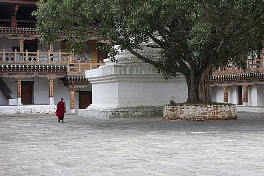 僧侣,普那卡宗,不丹