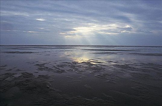 泥,退潮,北海,海岸,日落,雨天,德国,欧洲