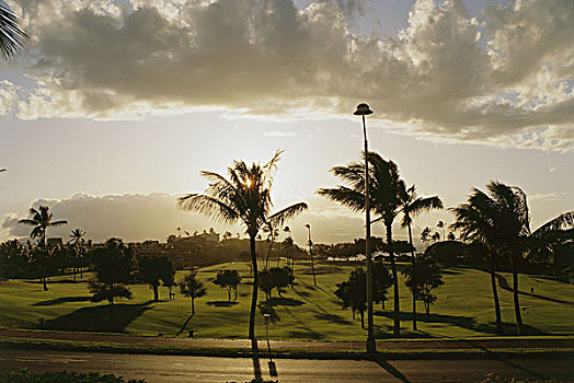 美国,夏威夷,毛伊岛,高尔夫球场,打高尔夫,棕榈树,黃昏,岛屿,草坪,树,植物,草地,象征,运动,高尔夫,比赛,活动,度假,休闲,日落,逆光,目的地,旅游