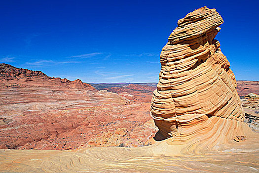 沙岩构造,蓝天,狼丘,区域,悬崖,荒野,亚利桑那