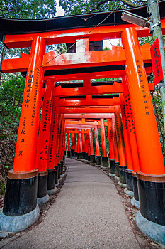 伏见稻荷大寺