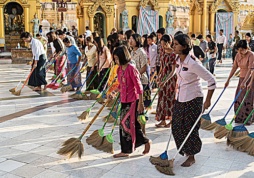 缅甸,女人,打扫,地面,大金塔,仰光,亚洲