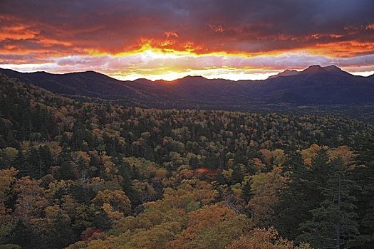 早晨,山,国家公园