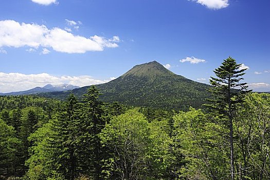 山