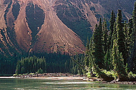 红色,山羊,山,河,省立公园,不列颠哥伦比亚省,加拿大