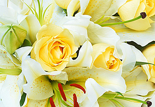 新娘手花,黄色,玫瑰,白色,百合