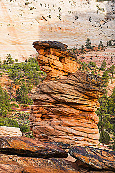 岩石构造,锡安国家公园,犹他,美国