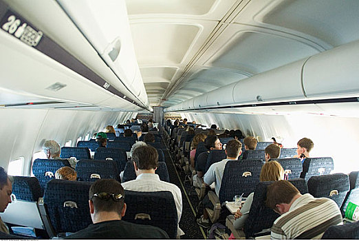 乘客,飞机