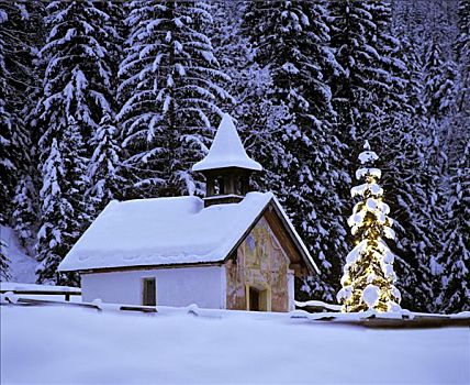 小教堂,圣诞树,靠近,上巴伐利亚,巴伐利亚,德国,欧洲