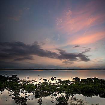 早晨,湖,风景,日出