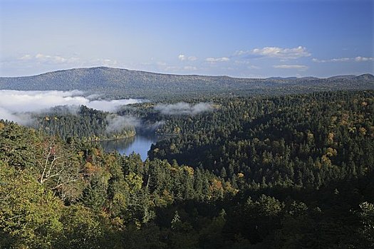 湖,早晨,阿寒国家公园