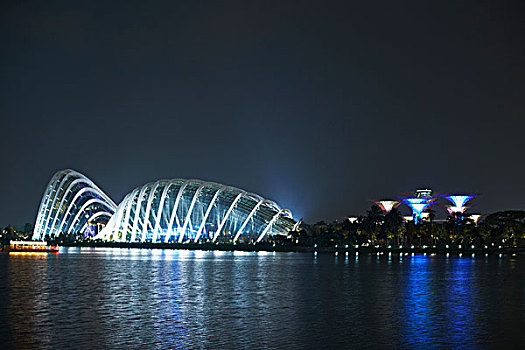 水岸,风景,小树林,花园,湾,夜晚,新加坡