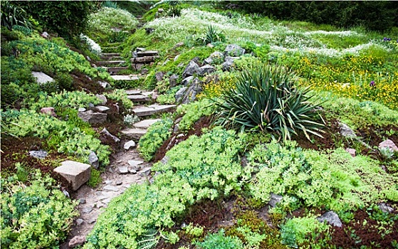 石头,小路,楼梯,绿色,花园