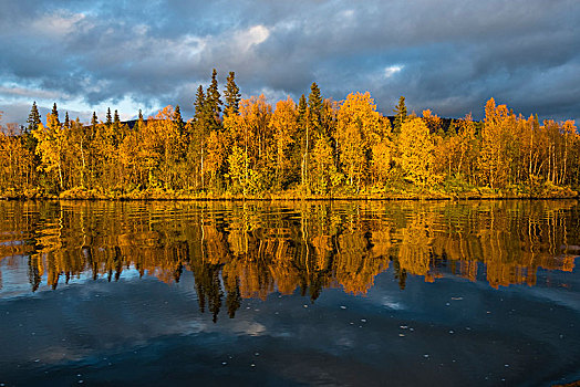 秋日风光,反射,三角洲,河,国家公园,拉普兰,瑞典,欧洲