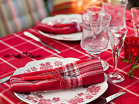 成套餐具,红色,布,小龙虾,聚会,花园