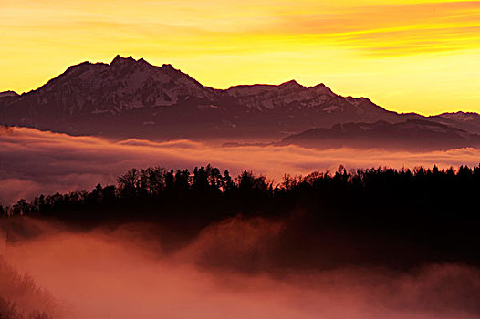雾状,晚上,亮光,景色,山,皮拉图斯,瑞士,欧洲