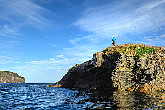 中年,女人,向外看,沿岸,悬崖,纽芬兰,加拿大