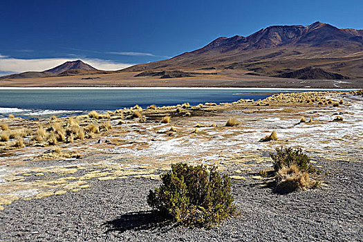 泻湖,高原,边界,智利,玻利维亚,南美