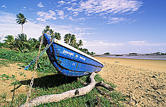 法属圭亚那,海滩
