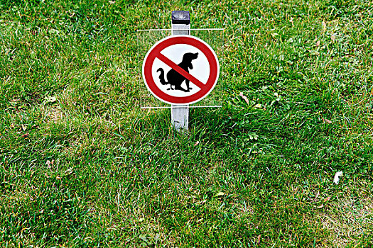 禁止标志,狗,兽粪