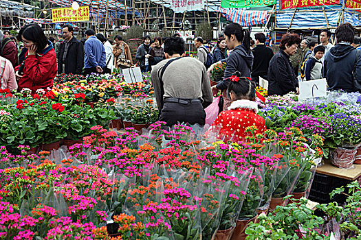 春节,花市,铜锣湾,香港