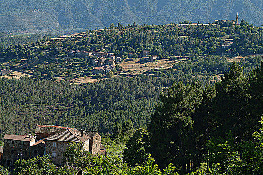 法国,风景,全景,山谷,教堂,房子