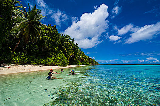 白沙滩,青绿色,水,蚂蚁,环礁,密克罗尼西亚