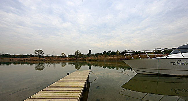 秋天的杭州西溪湿地游艇