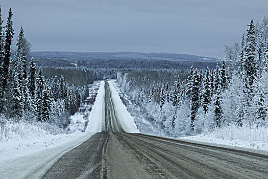 公路,通过,积雪,树林,阿拉斯加公路,北方,落基山脉,地区性,市区,不列颠哥伦比亚省,加拿大