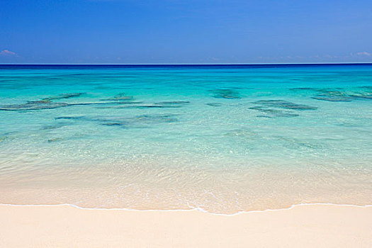 海滩,水,马埃岛,塞舌尔