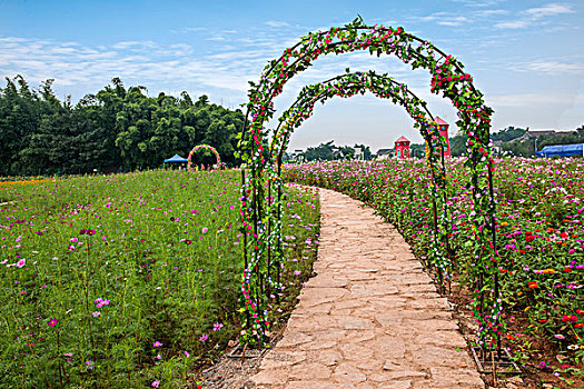 重庆巴南花木世界园林中的婚庆花卉拱门