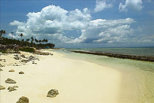 全景,海滩,圣安德烈斯岛,哥伦比亚