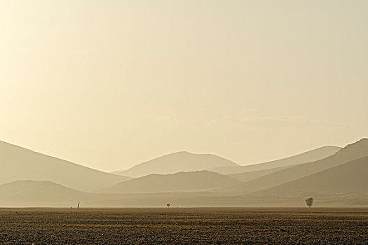 早晨,雾气,上方,风景,纳米布沙漠,塞斯瑞姆,区域,纳米比亚,非洲