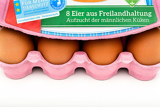 蛋,包装,识别,标记,幼禽,德国,欧洲