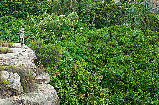 马达加斯加,国家公园,瑞恩,酒店,雕塑,远眺,植被,岩石构造,砂岩,山丘,公园