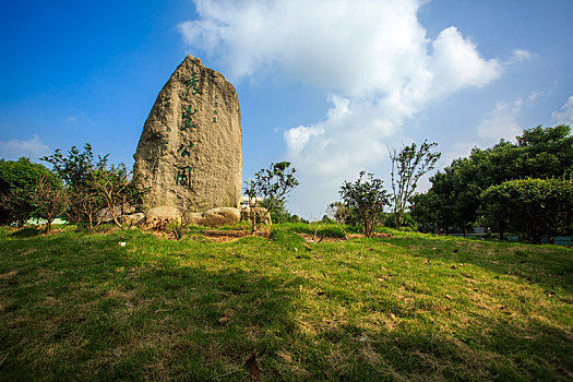 公园,绿化,草地,绿色