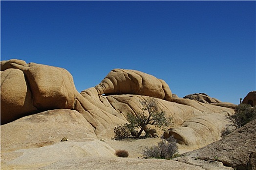 岩石构造,蓝天,约书亚树国家公园,加利福尼亚
