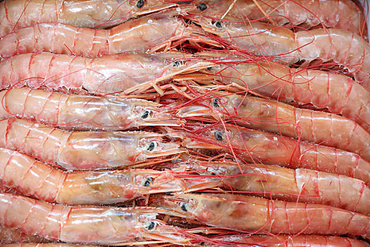 海鲜红虾